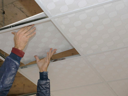 Buen precio Materiales de techo de yeso de PVC ecológicos que brindan opciones sostenibles para proyectos de construcción ecológica y energética en línea